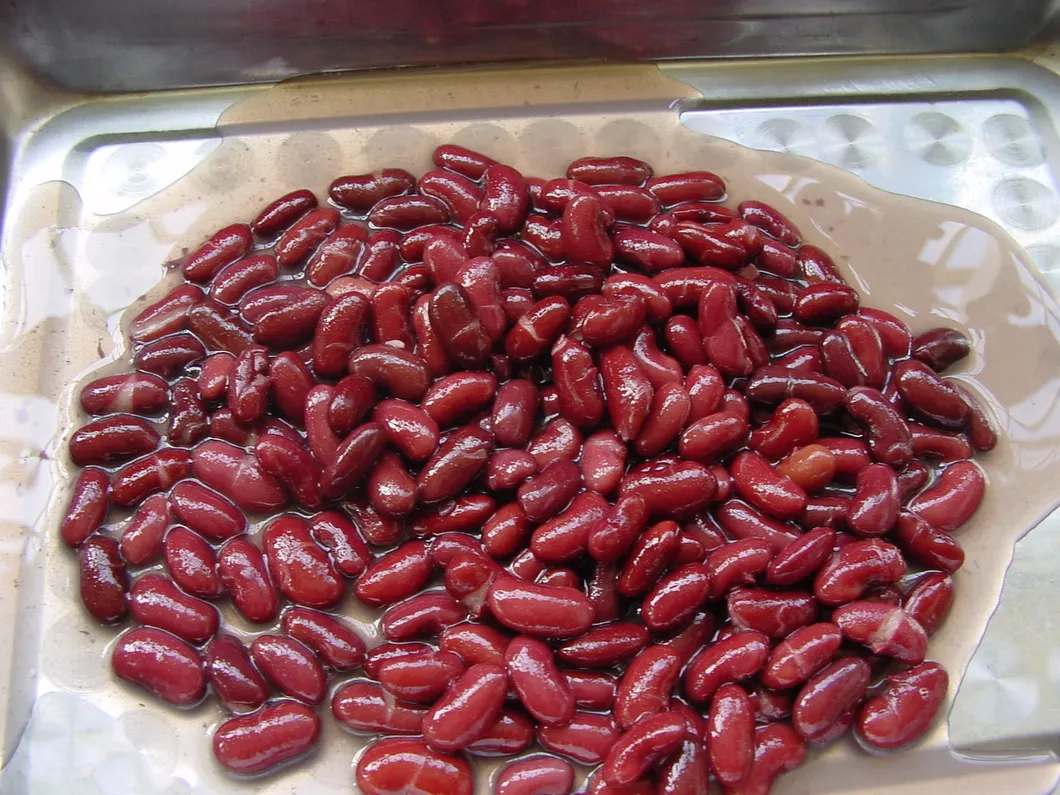 Frijoles rojos riñón orgánicos enlatados al por mayor en salmuera