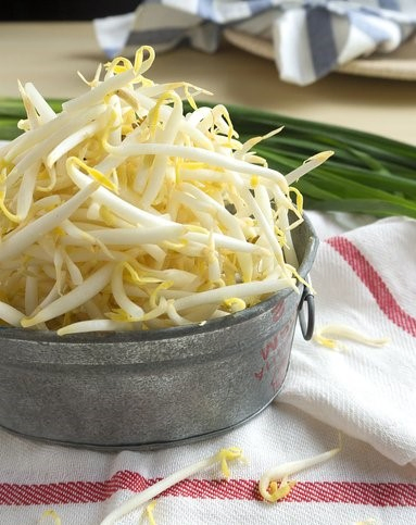 Brotes de soja y frijol mungo en tarro de vidrio en lata con el mejor sabor