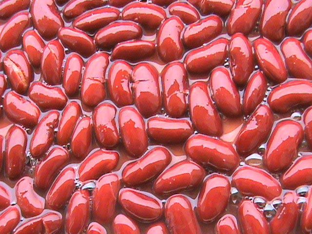 Frijoles rojos enlatados / frijoles al horno en salsa de tomate