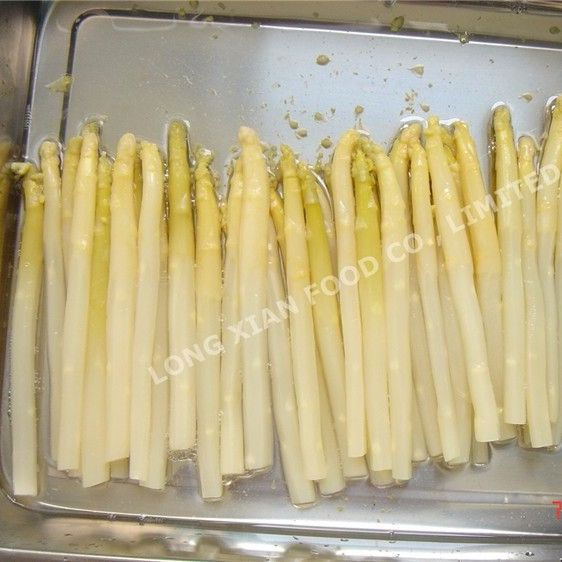 Los espárragos blancos en conserva todo el precio de fábrica de las Lanzas de China