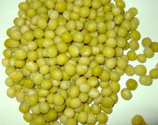 Verduras enlatadas de China Guisantes verdes enlatados de alta calidad 400g