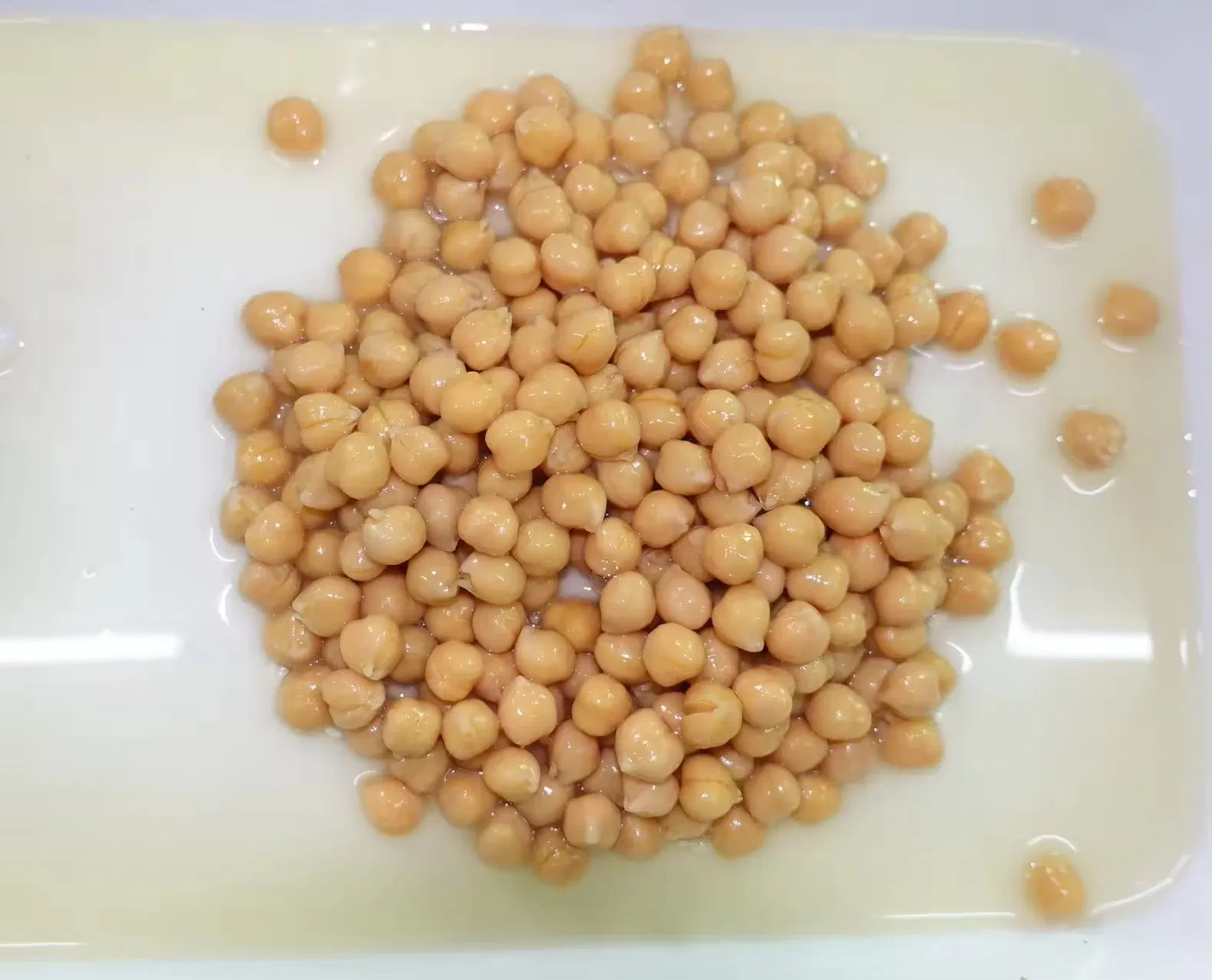 Alimentos saludables Chickpeas en conserva de China Factory