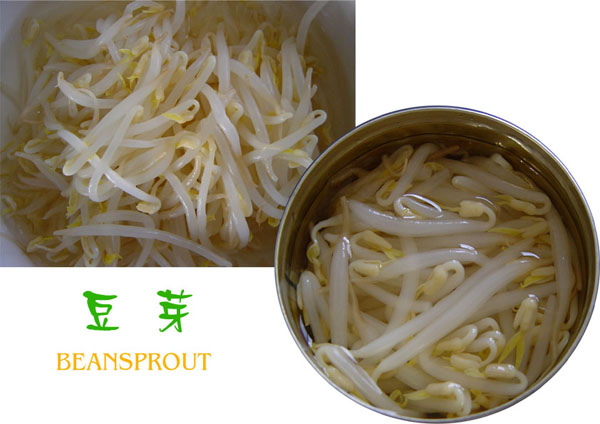425ml Brote de frijol enlatado de China