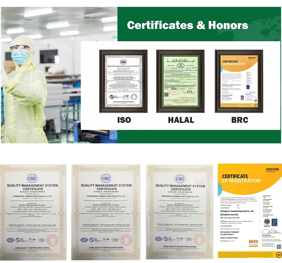 China Al por mayor Comida Garbanzos enlatados de mayor calidad Certificaciones