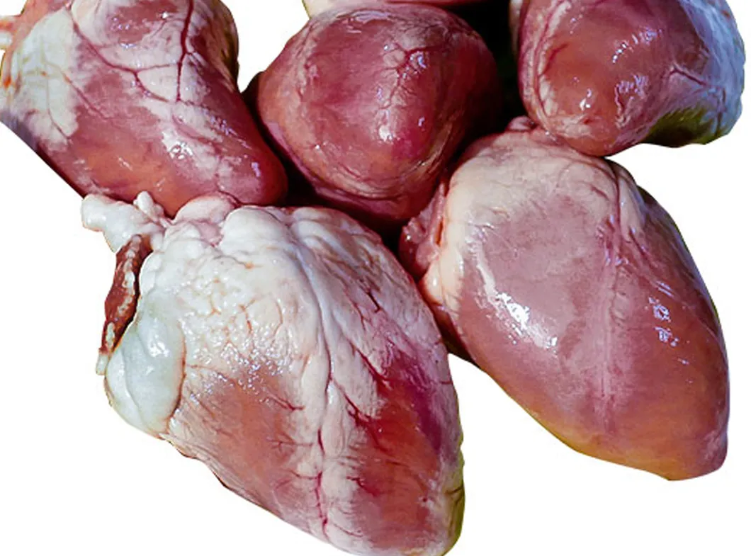 Corazón de cabra halal congelado nutritivo para cocinar con mejor sabor