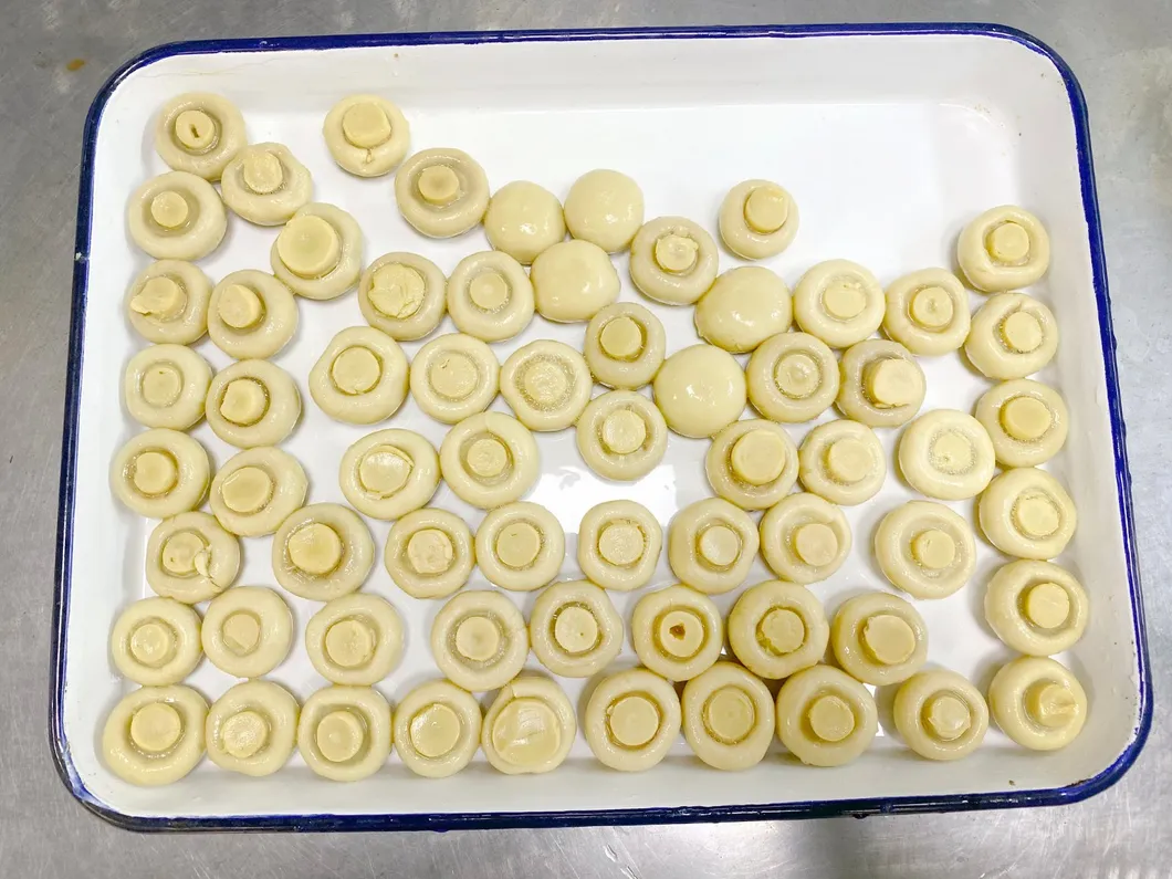 Champiñón procesado