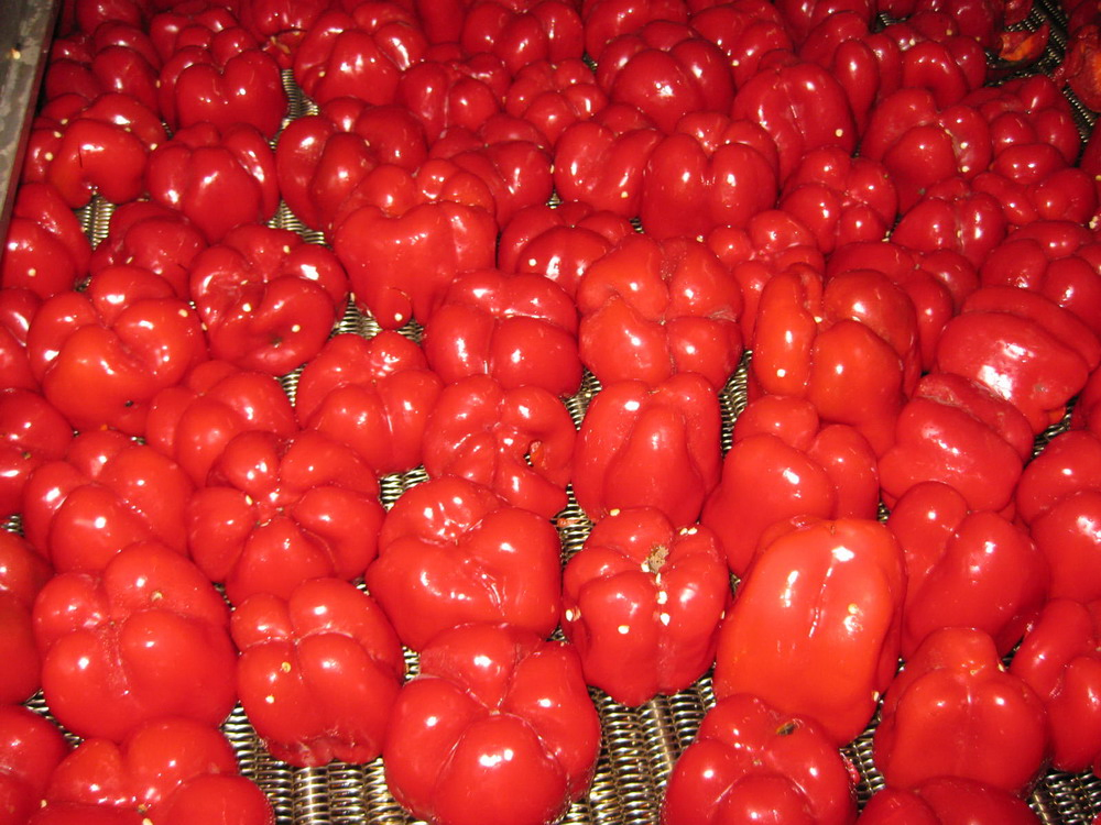 Mitades de Pimiento Rojo Dulce en Tarro de Vidrio