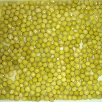 Guisantes en conserva