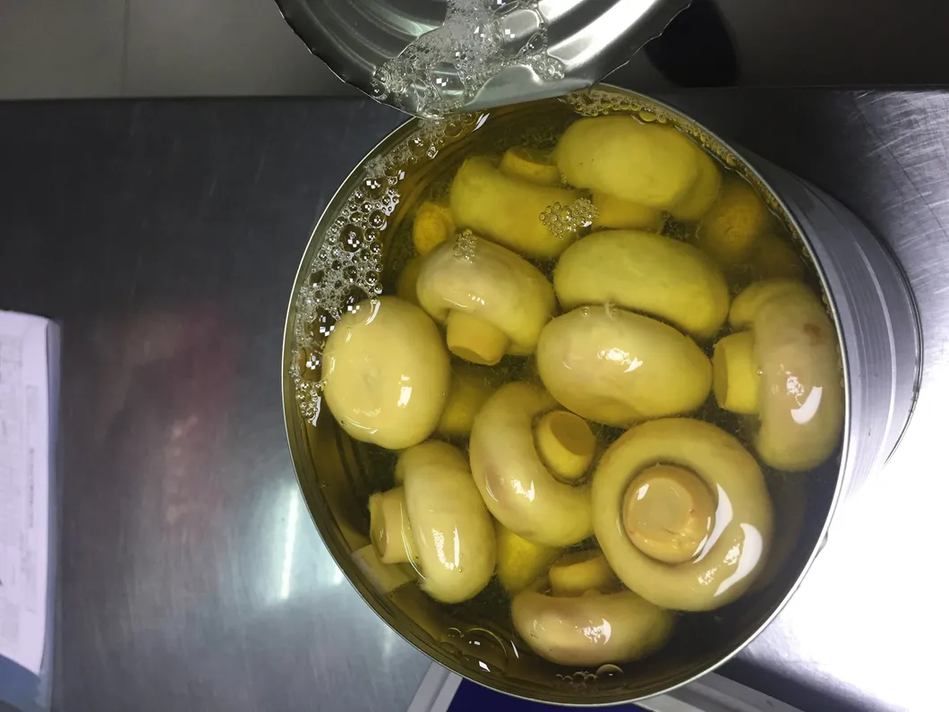 Champiñón enlatado en salmuera