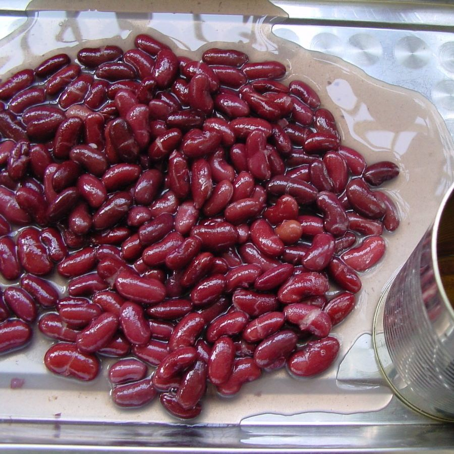 Frijoles rojos enlatados de alta calidad de Long Xian Food