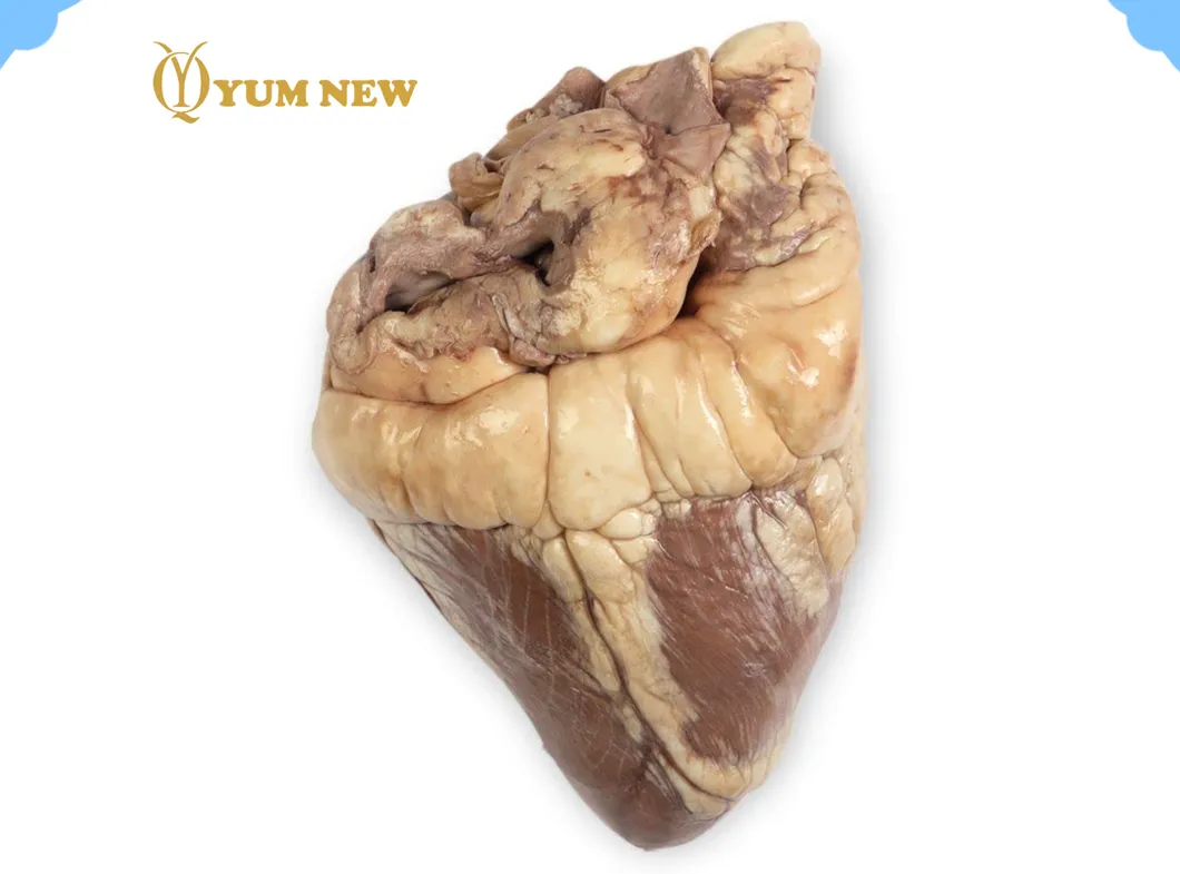 Corazón de cabra halal congelado nutritivo para cocinar con mejor sabor