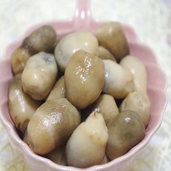 SETAS DE PAJA DE COMIDA ENLATADA
