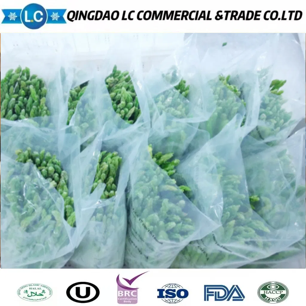 Compra espárragos verdes congelados New Harvest en venta