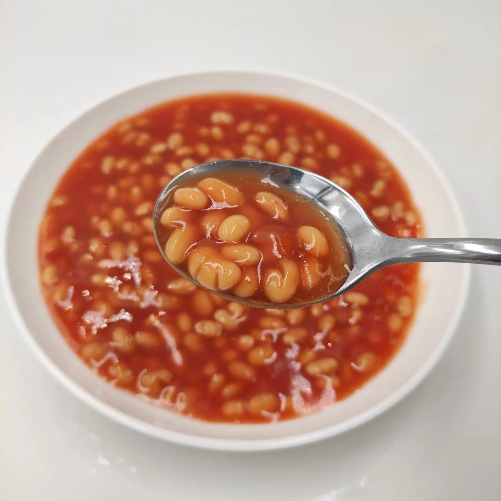 Frijoles horneados enlatados en salsa de tomate precio de fábrica OEM