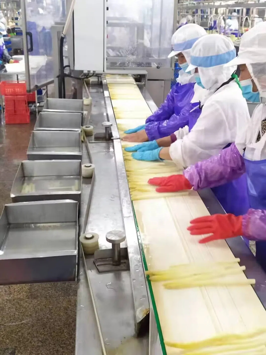 Verduras en conserva Espárragos blancos en tarro