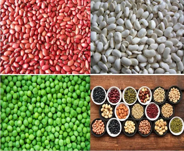 Pasos de enlatado de frijoles