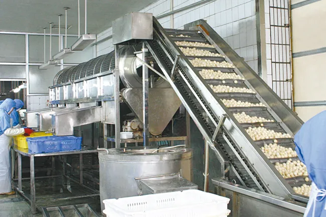 Precio del mercado de espárragos verdes congelados IQF