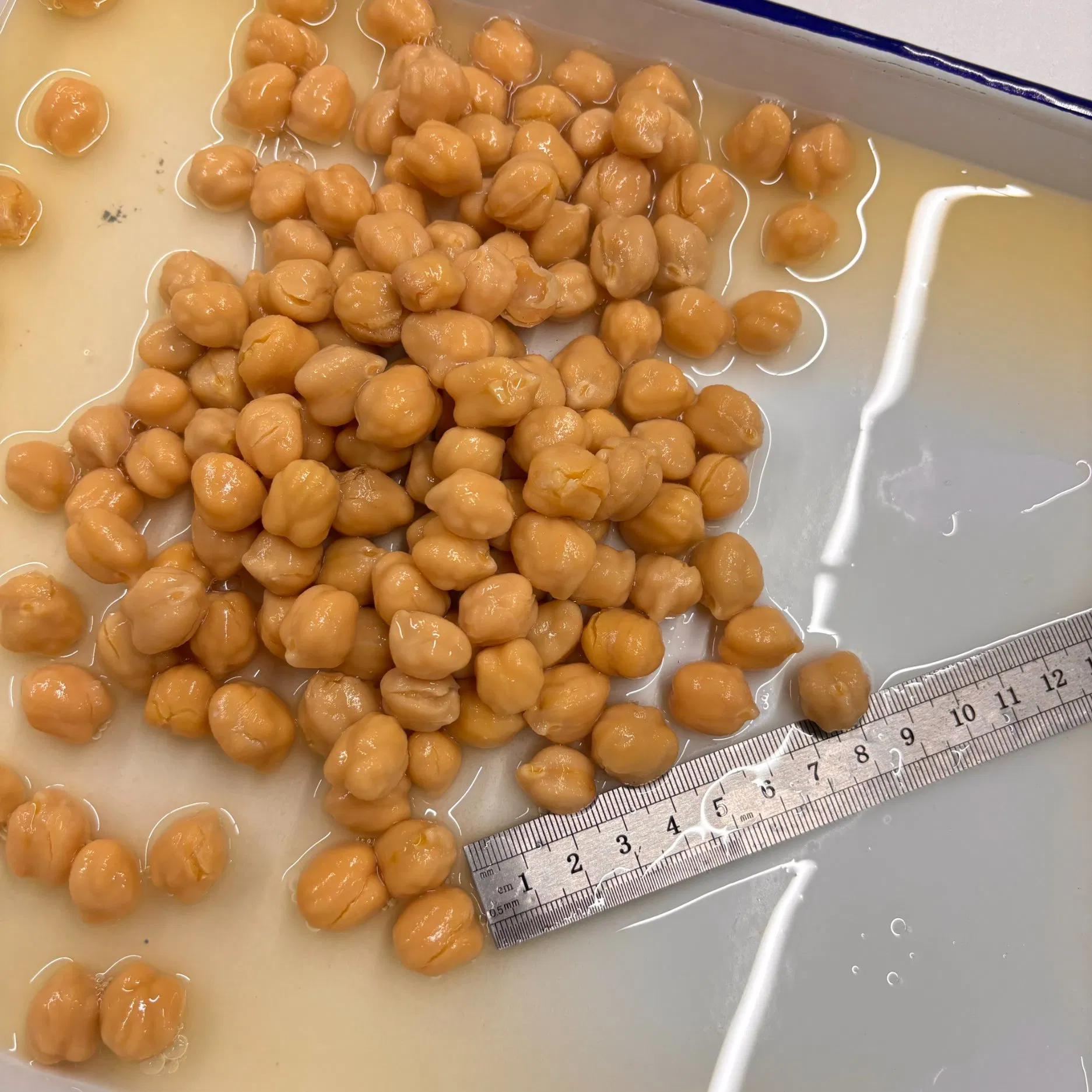 Garbanzos enlatados deliciosamente nutritivos para una preparación de comidas versátil