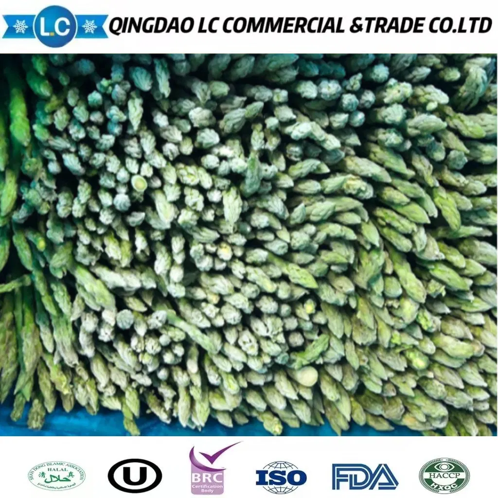 2023 Nuevos espárragos verdes congelados IQF
