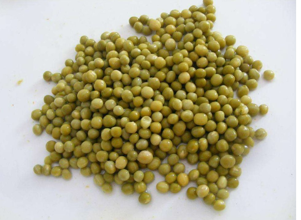 Guisantes verdes enlatados frescos en salmuera verduras enlatadas