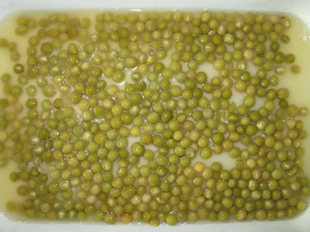 Guisantes verdes dulces enlatados