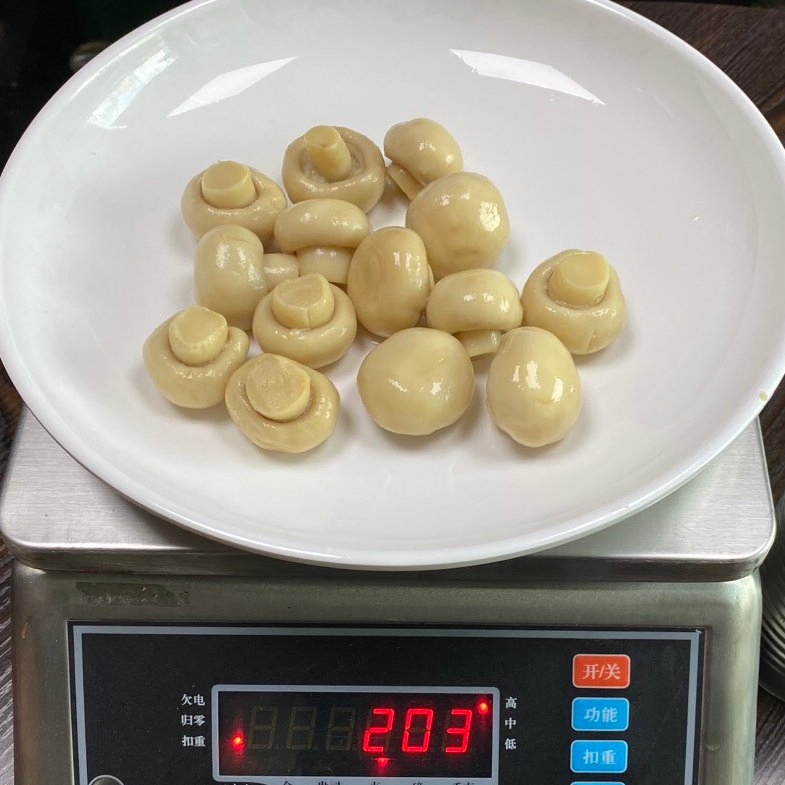 Champiñón de China en lata o frasco de vidrio de fábrica