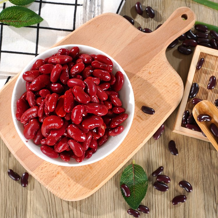 Frijoles Rojos en Lata Certificados Halal 425g para Mezcla de Contenedor