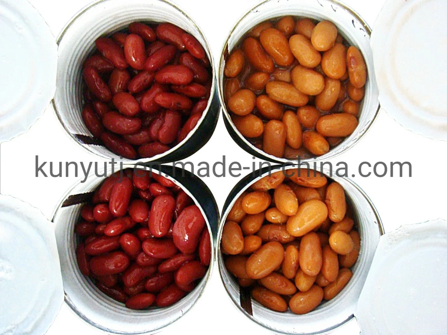 Alubias rojas enlatadas saludables 400g de fábrica en China