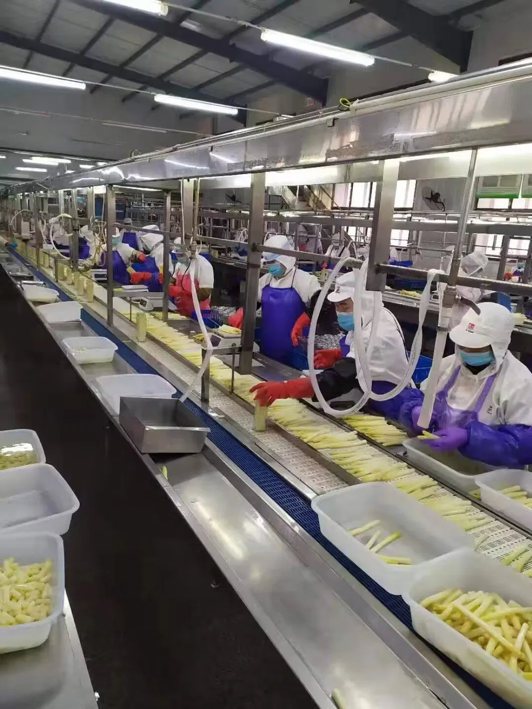 Alimentos en conserva Verduras enlatadas Espárragos blancos agridulces para exportación