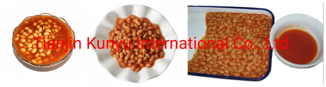 Salsa de tomate enlatada con frijoles horneados de alta calidad