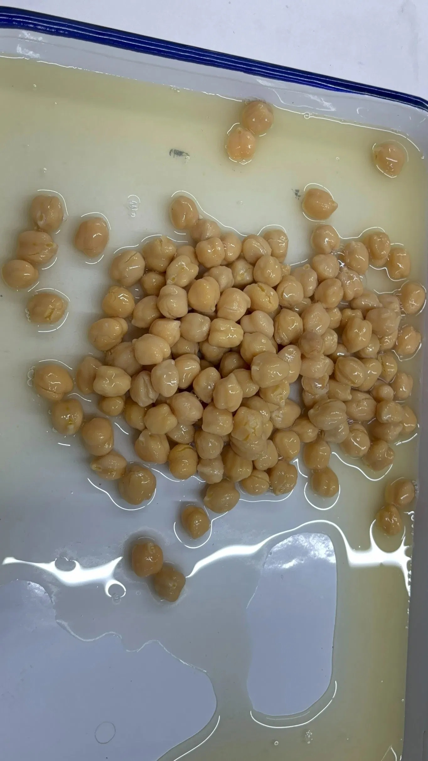 Proveedor chino OEM comida saludable garbanzos enlatados frijoles enlatados