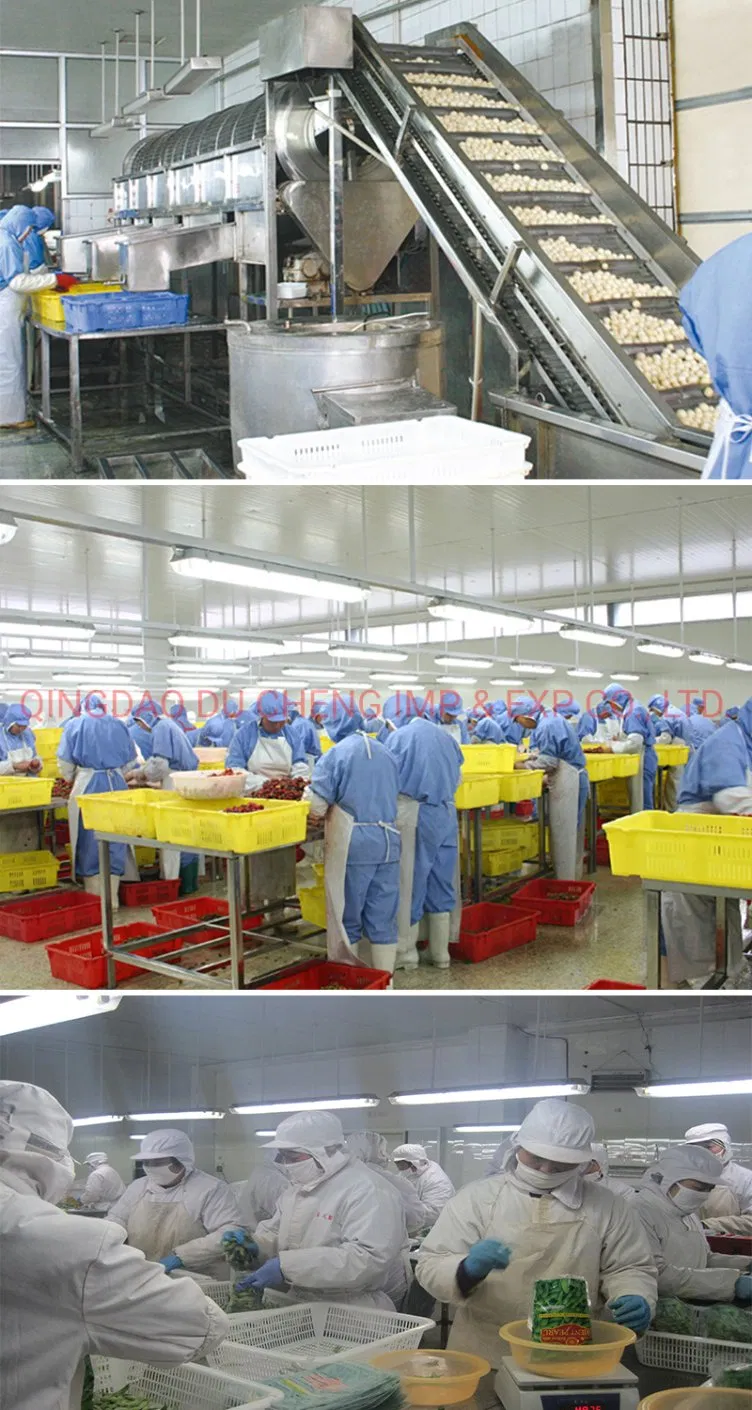 Taller de producción