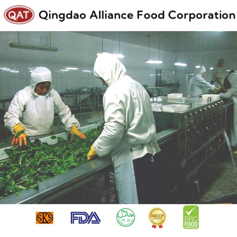 Bolas de espinaca picada congelada IQF premium para cocinar