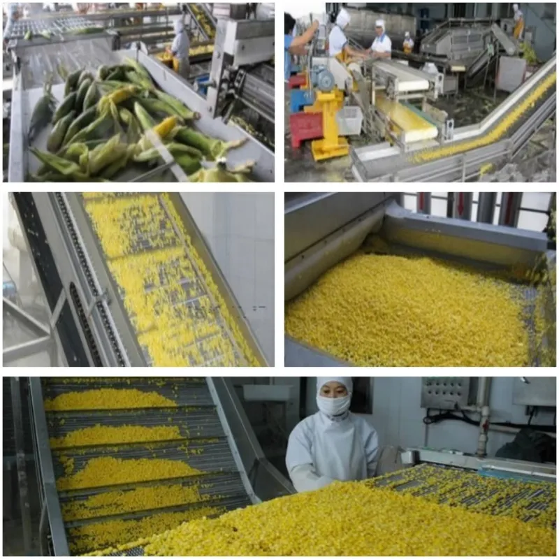 Línea de procesamiento automático de enlatado de maíz joven, línea de producción de frijoles horneados enlatados, garbanzos y soya
