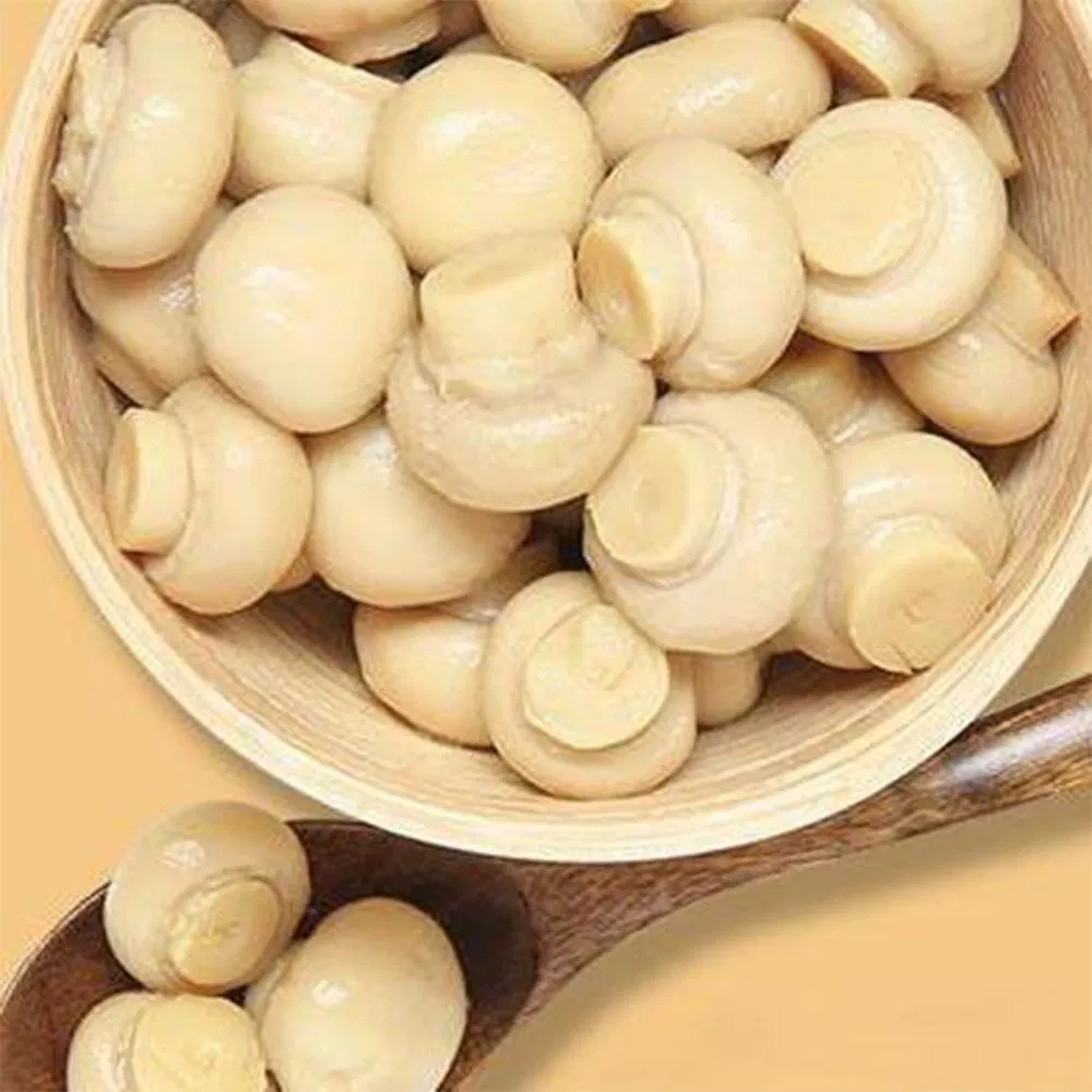 Comida vegana instantánea fresca y sabrosa en lata de champiñones shiitake, champiñones en rodajas y champiñones enteros enlatados