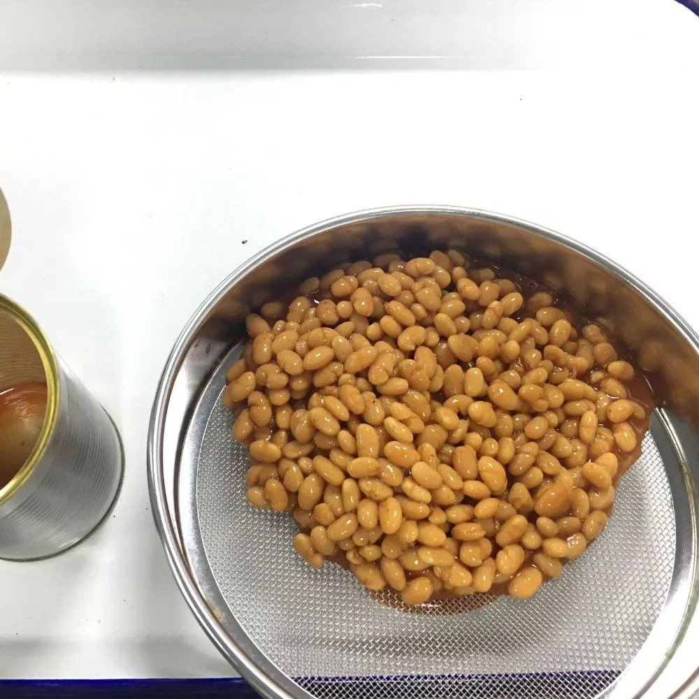 Alta calidad de las conservas de Judías en salsa de tomate 425g