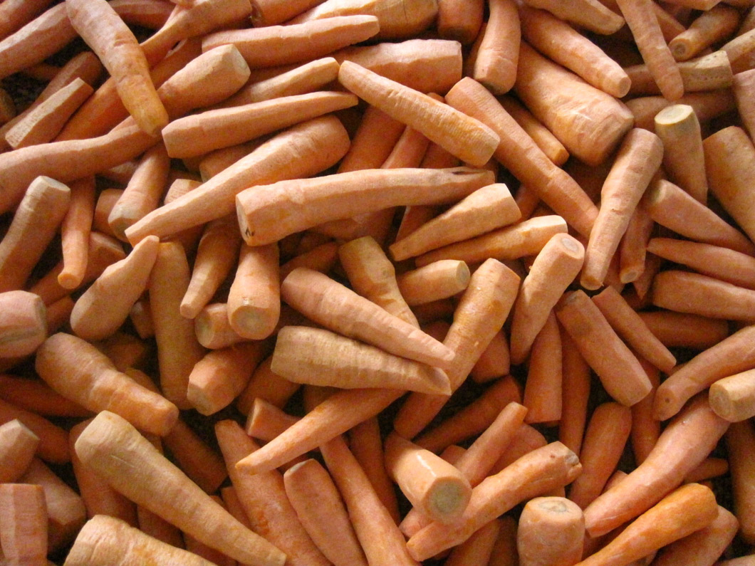 Verduras Congeladas IQF Dados de Zanahoria, 5*5mm, 10*10mm Zanahoria Picada