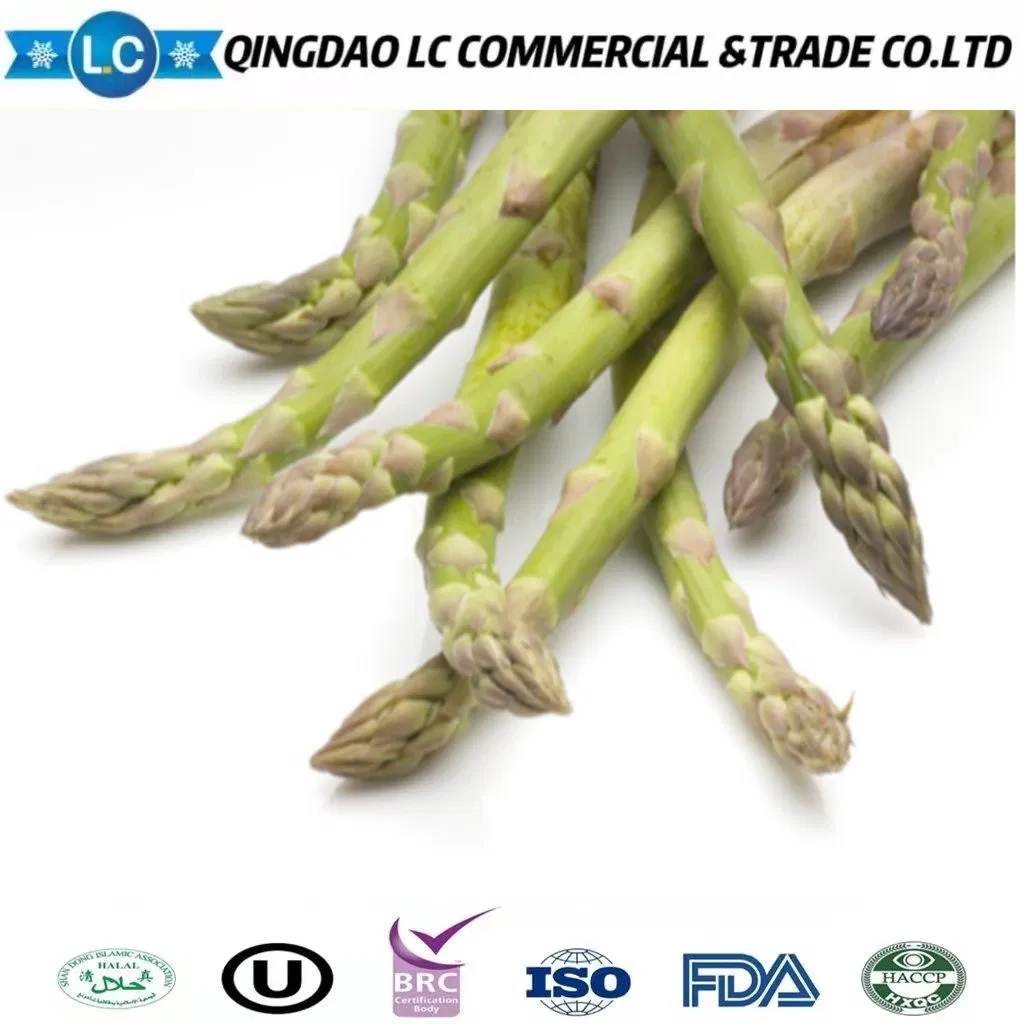 Espárragos verdes enteros congelados IQF