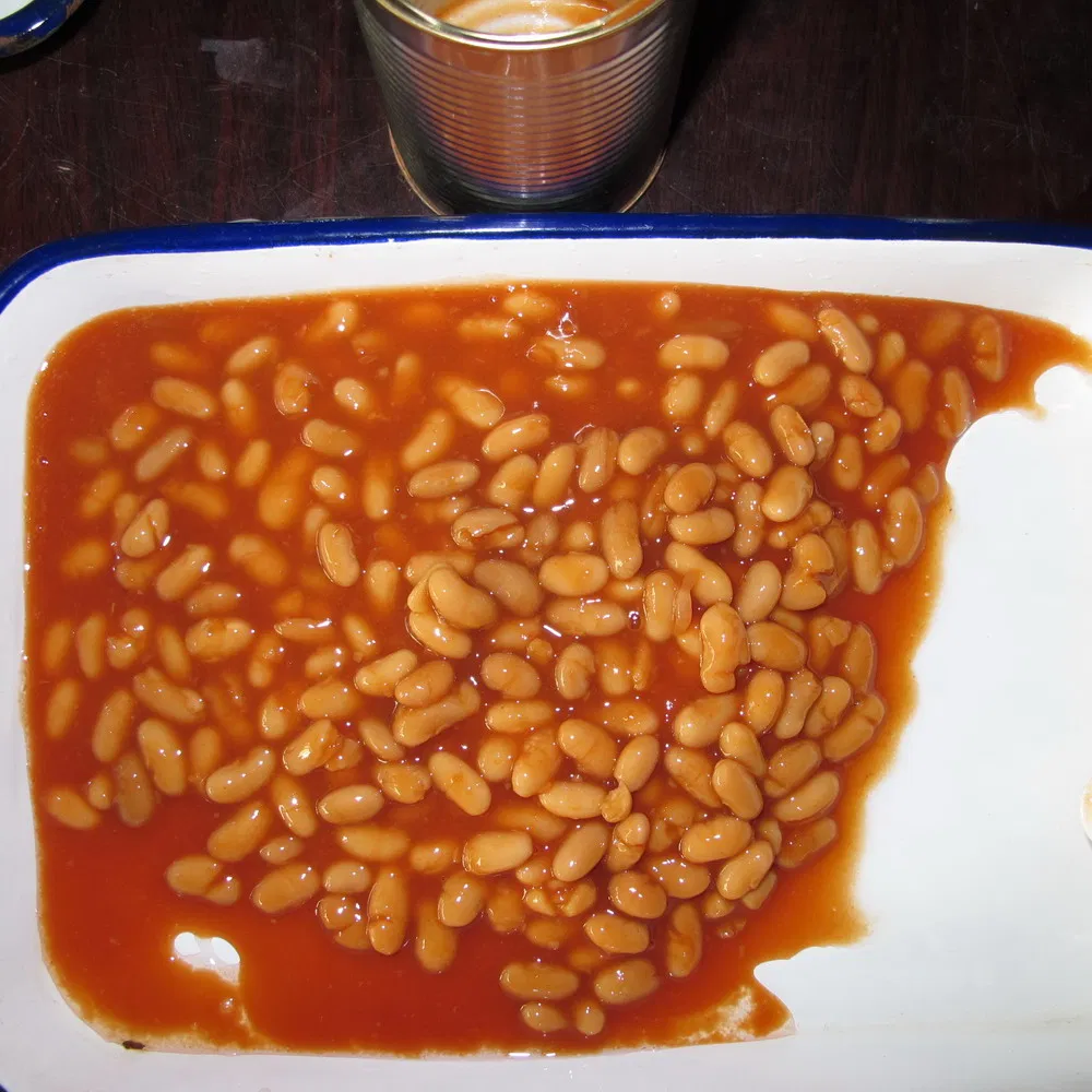 Comida enlatada frijoles horneados en salsa de tomate 400g