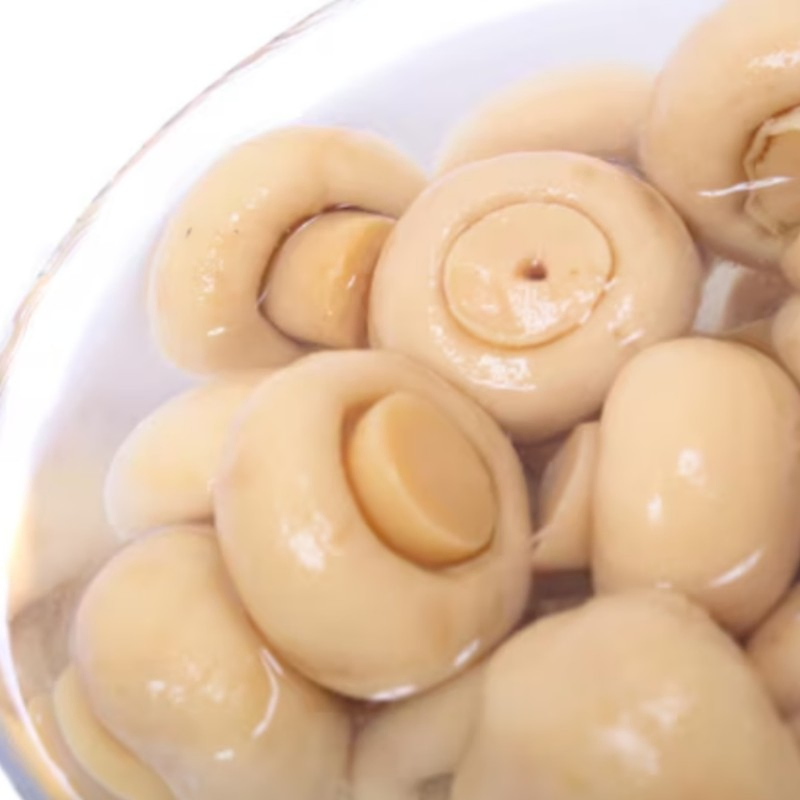 Sliced de champiñones enlatados de alta calidad