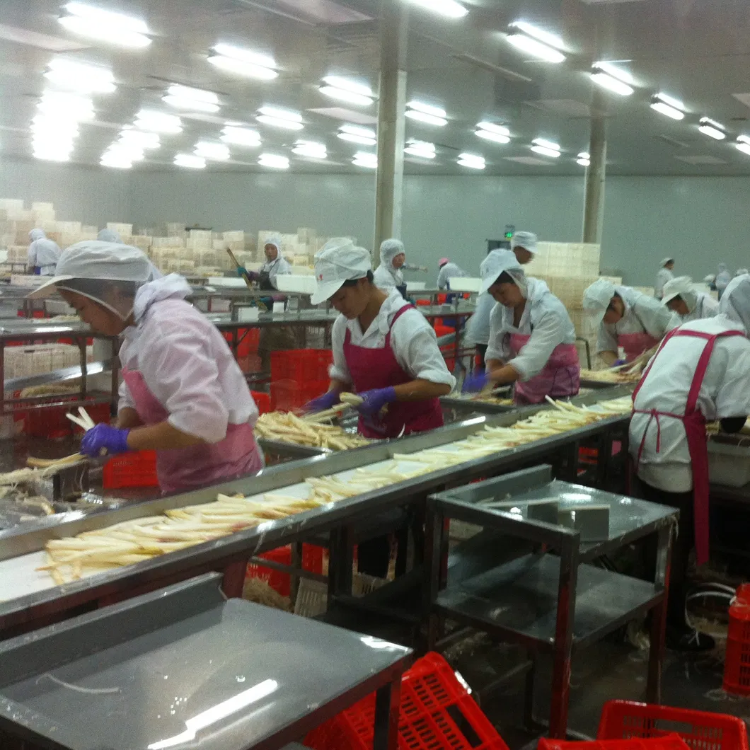 Producción de alimentos