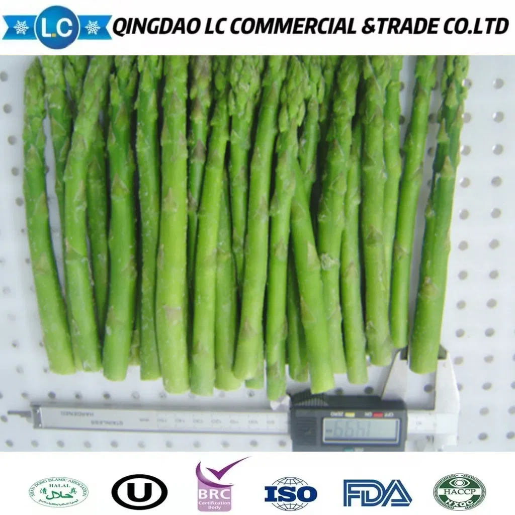 Precio del mercado de espárragos verdes congelados IQF