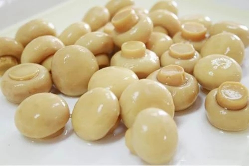 2022 Nuevas Conservas Corp Comida Enlatada Verduras Enlatadas Champiñones Enlatados Champiñón/ Champiñón en Lata para Venta al Por Mayor