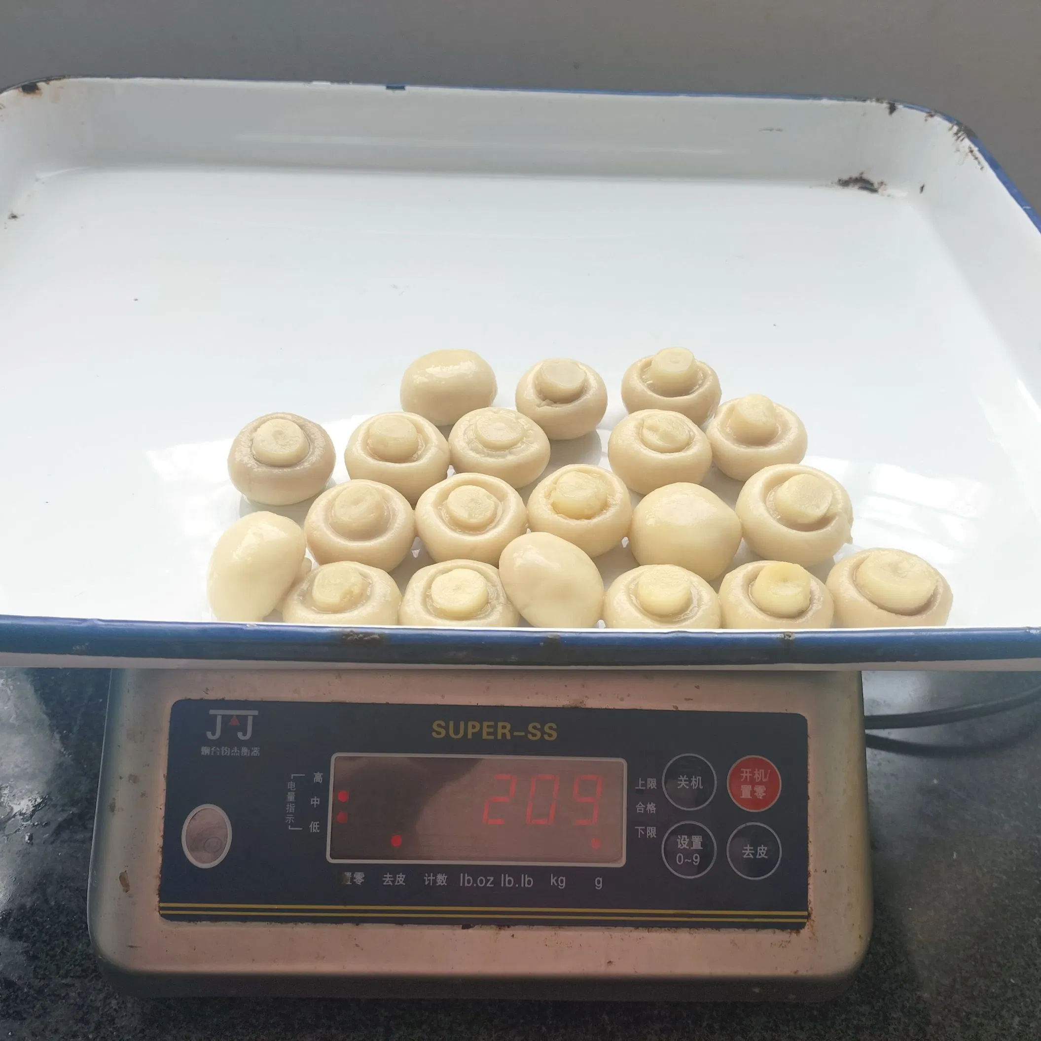 Champiñón enlatado, champiñón entero, en rodajas en salmuera proveedor