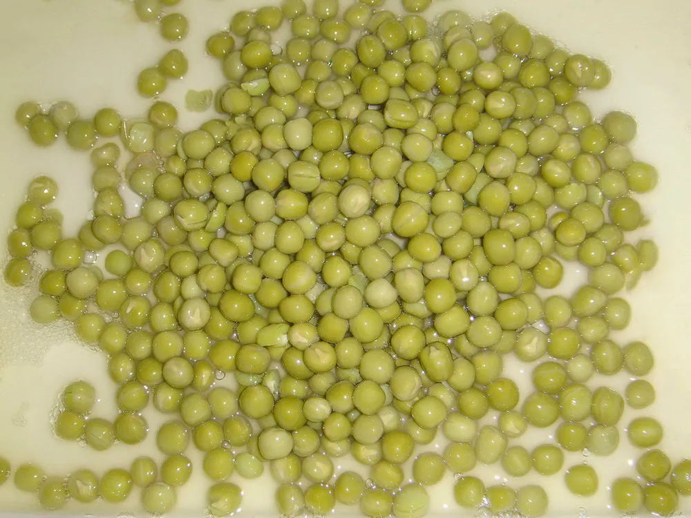 Guisantes verdes dulces enlatados