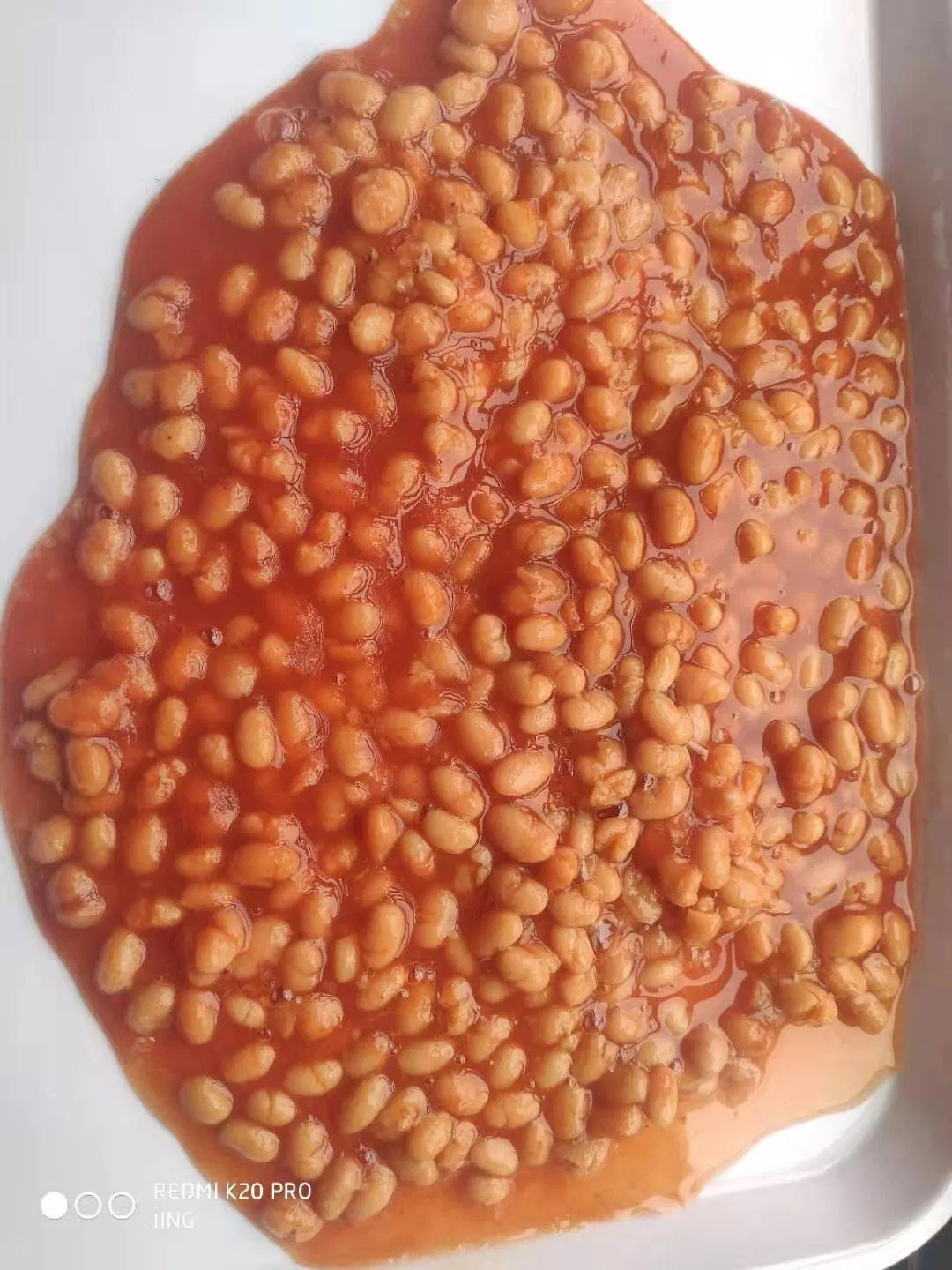 Venta Caliente de Verduras en Lata Frijoles al Horno en Salsa de Tomate de China