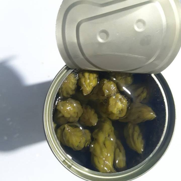 100% Espárragos Verdes en Lata Naturales en Salmuera Proveedor OEM Principal de China