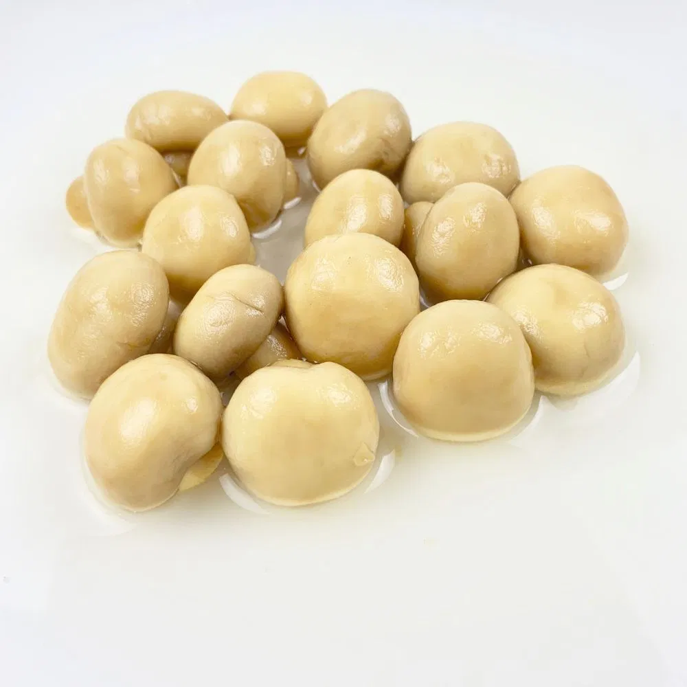 Buena calidad de las conservas de toda la corte los champiñones en lata de comida de china
