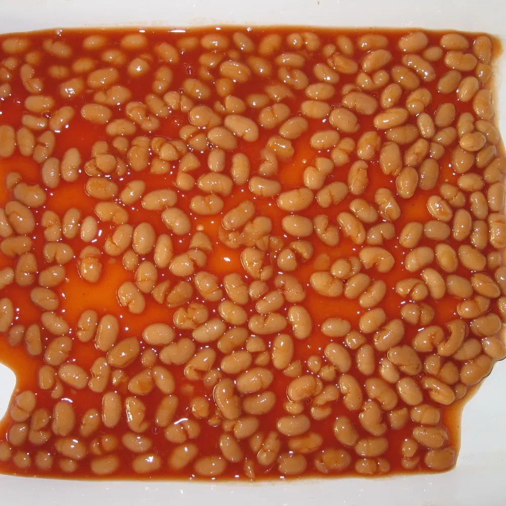 Frijoles horneados enlatados en salsa de tomate de alta venta 227g/425g