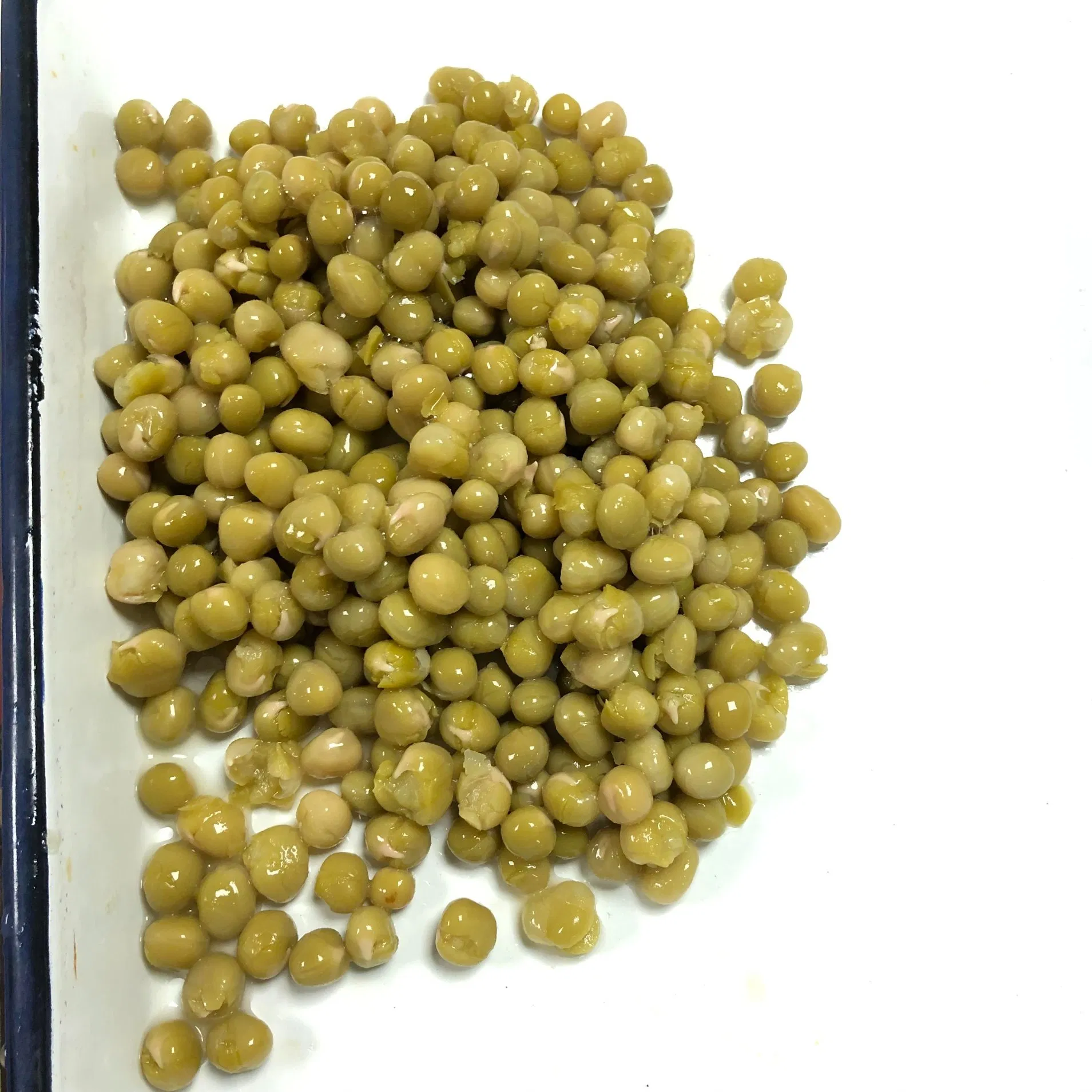 Mejores Vendedores de Alta Calidad Judías Verdes en Lata, Guisantes Verdes Naturales en Lata en Agua Salada 400g
